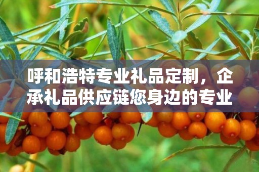 呼和浩特专业礼品定制，企承礼品供应链您身边的专业礼品定制公司